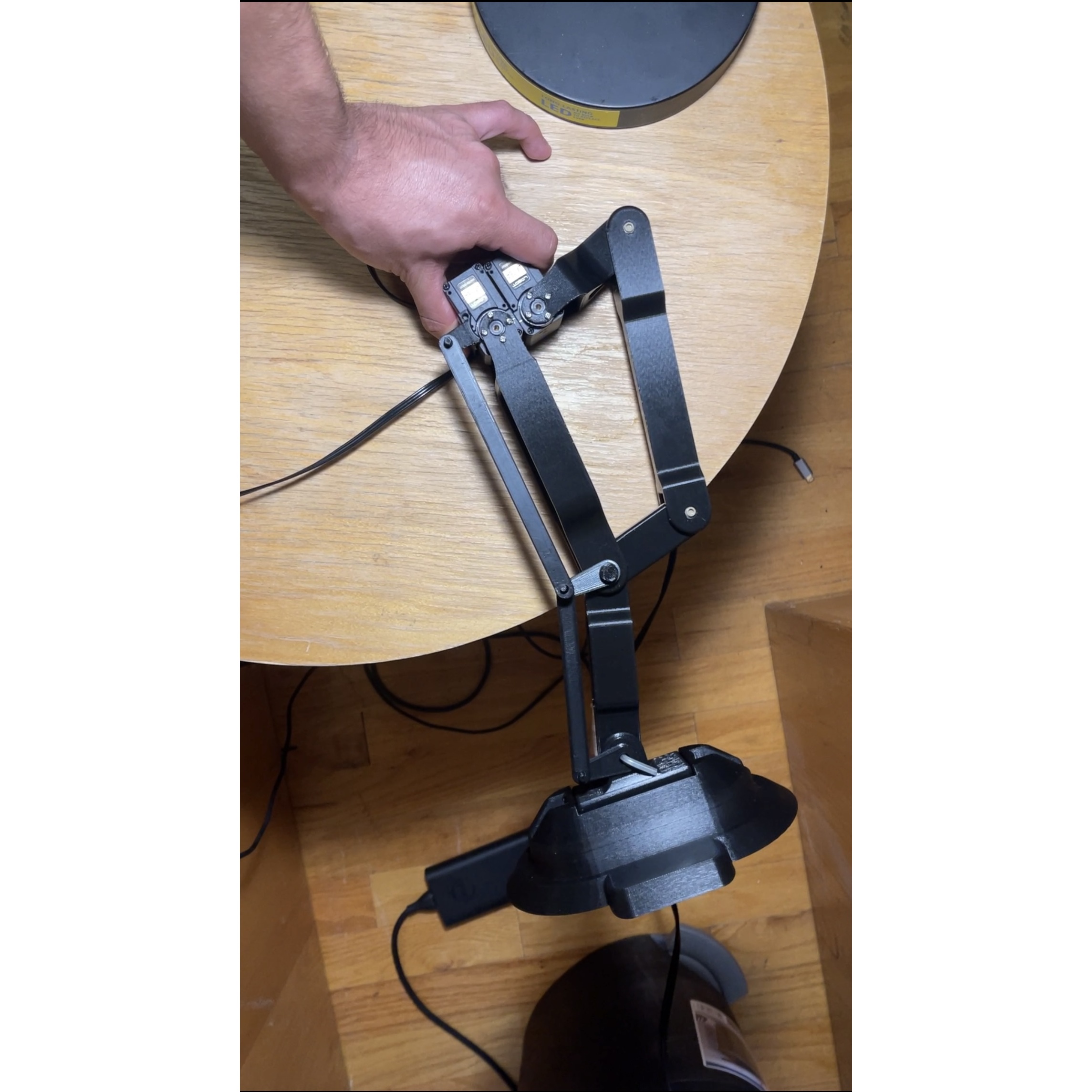 Video frame of the functional leg